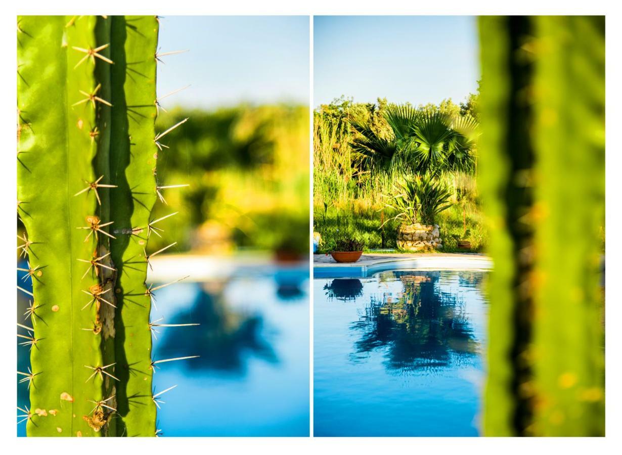 Villa Swan Lefkáda Exteriér fotografie